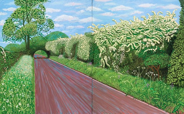 08A13-lg Hawthorne Blossom Near Rudston, 2008