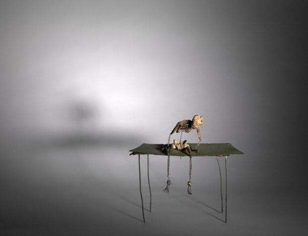 June Leaf, Gentleman on Green Table