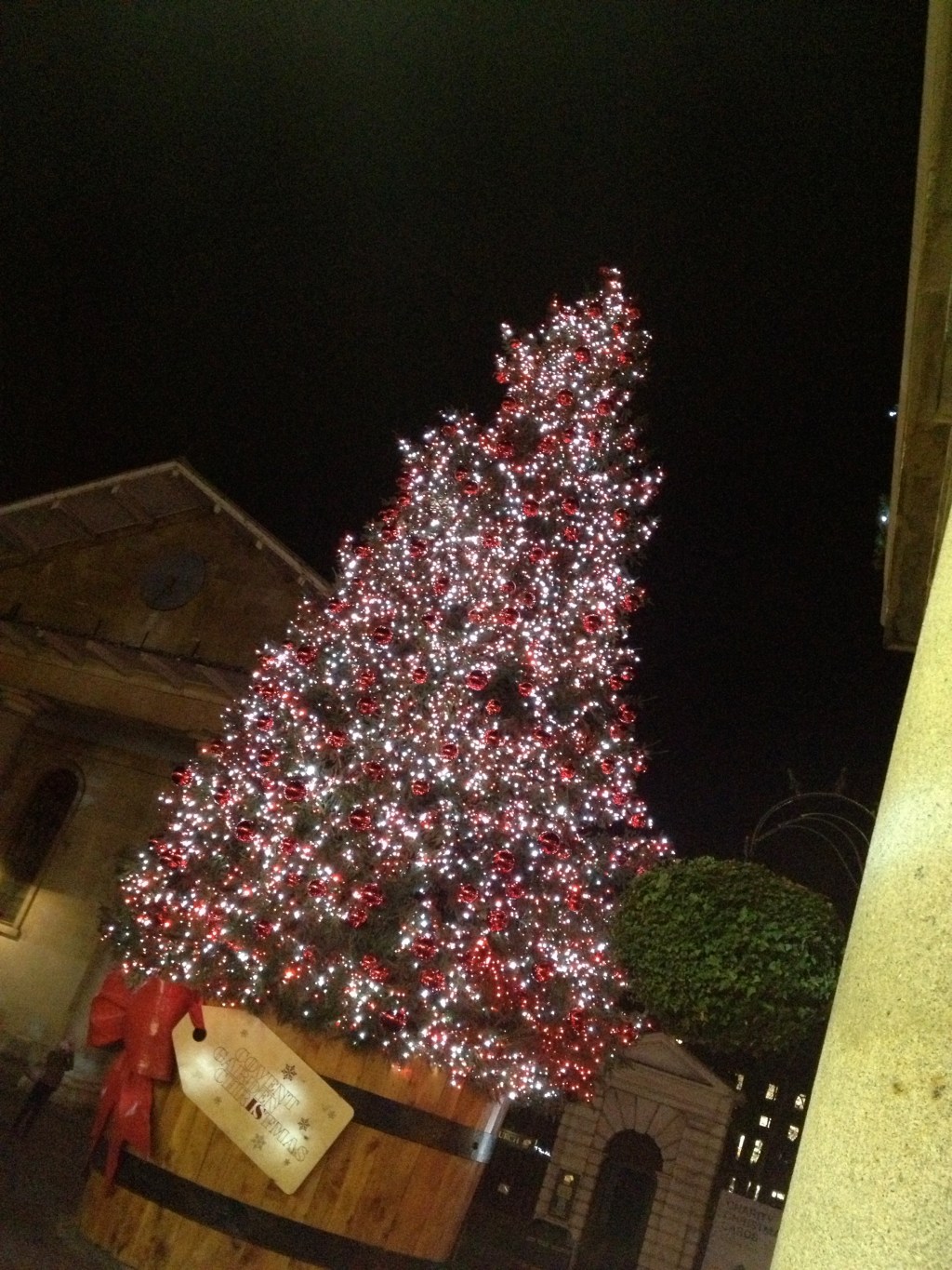 Covent Garden's tree