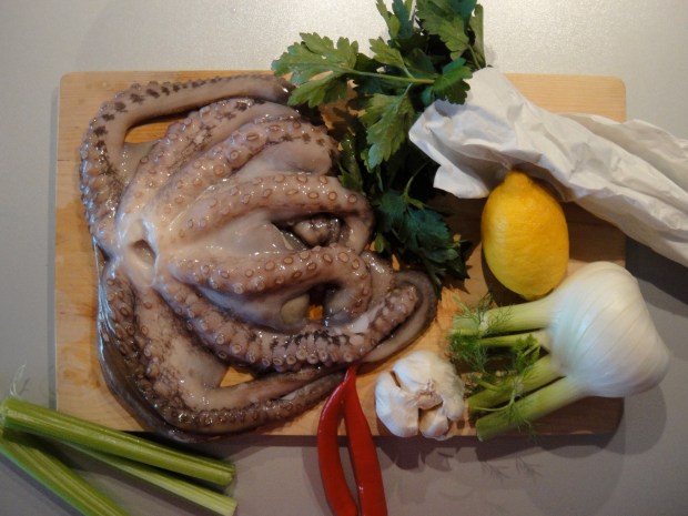 Beautiful raw octopus