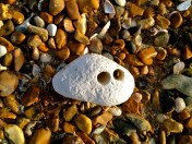 This one looks a bit Normy...