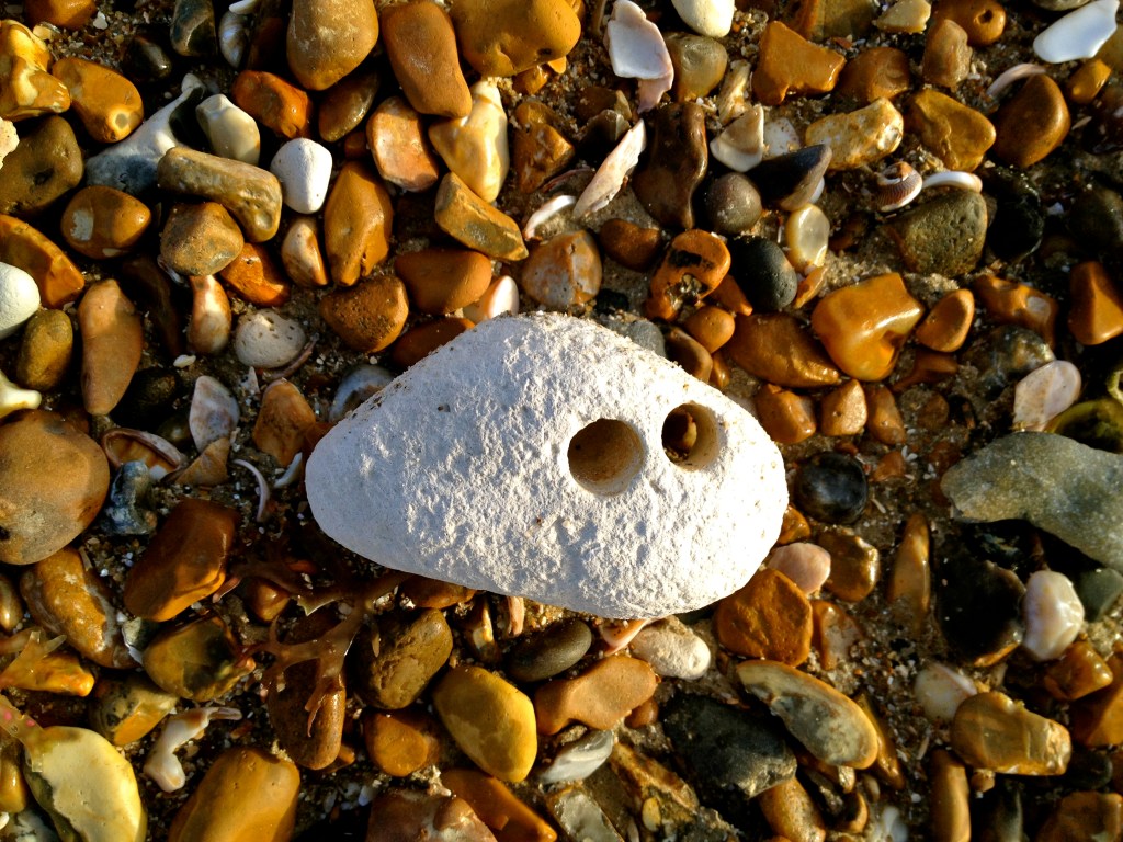 This one looks a bit Normy...