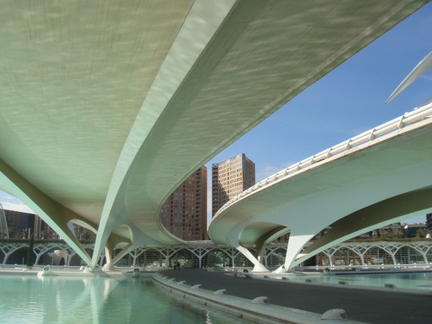 Elegant curved bridge sweeping across the park