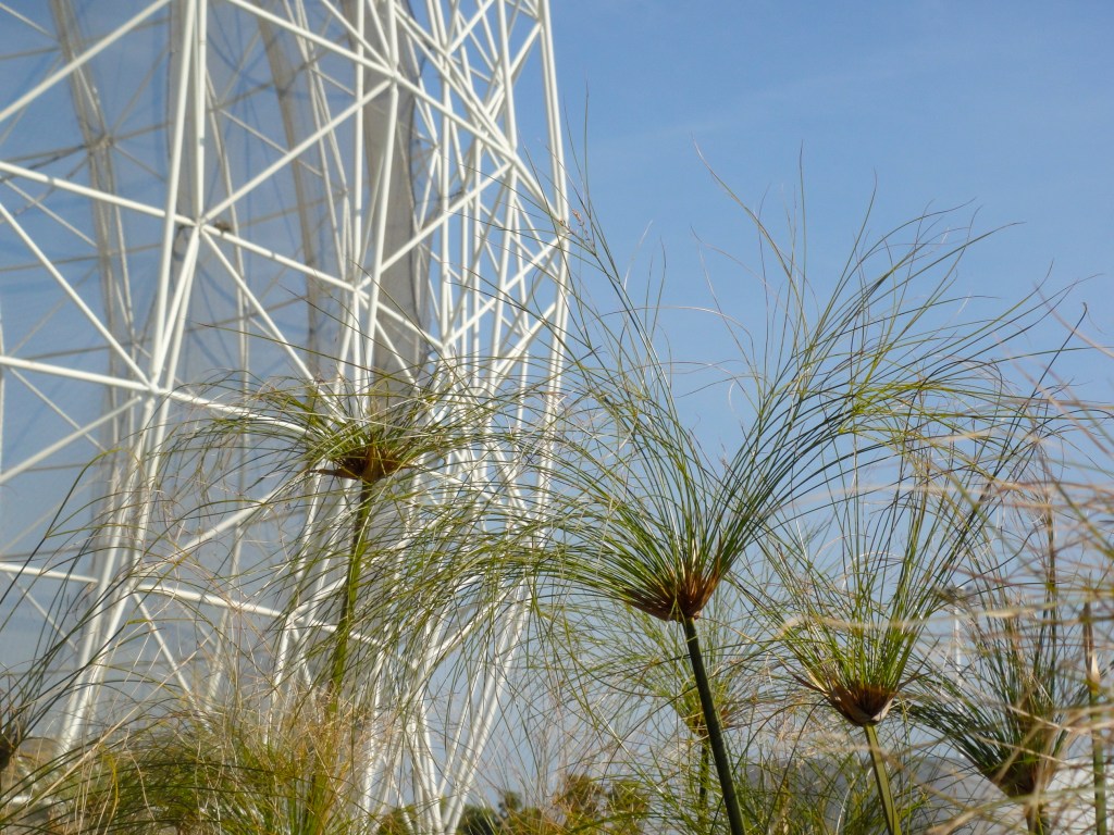 The park's "Wetlands" structure