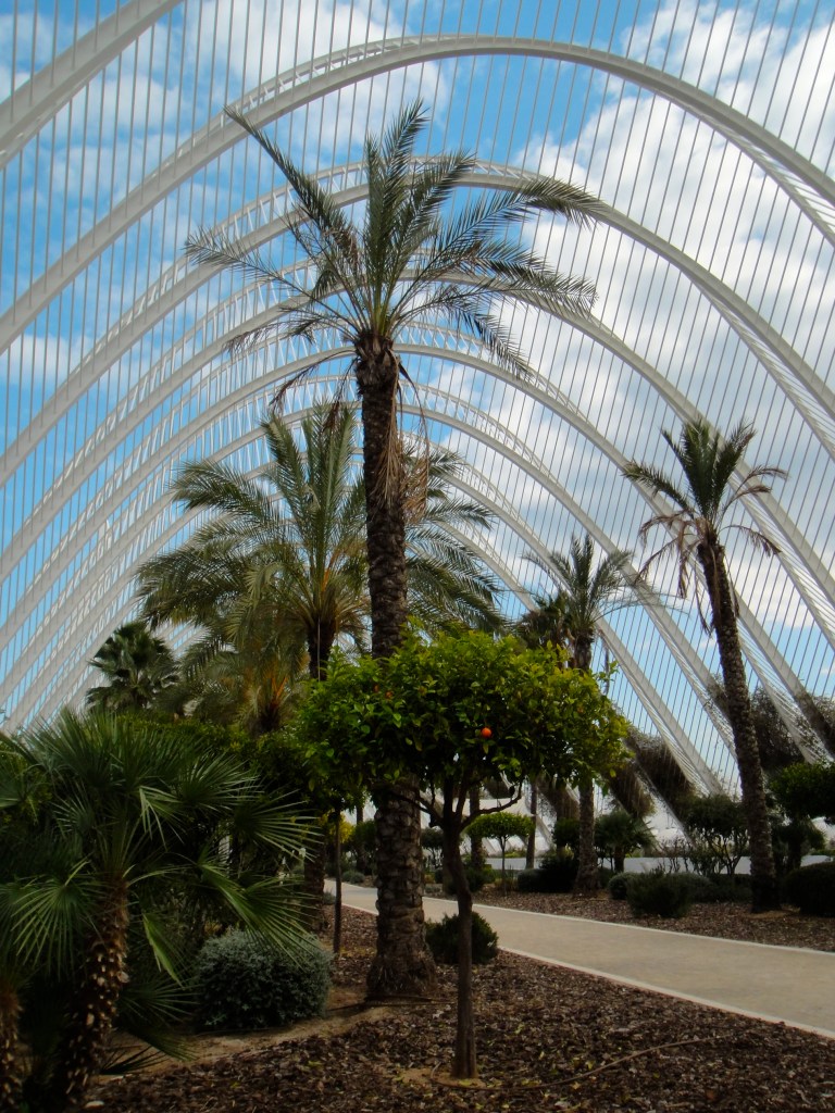 Inside L'Umbracle