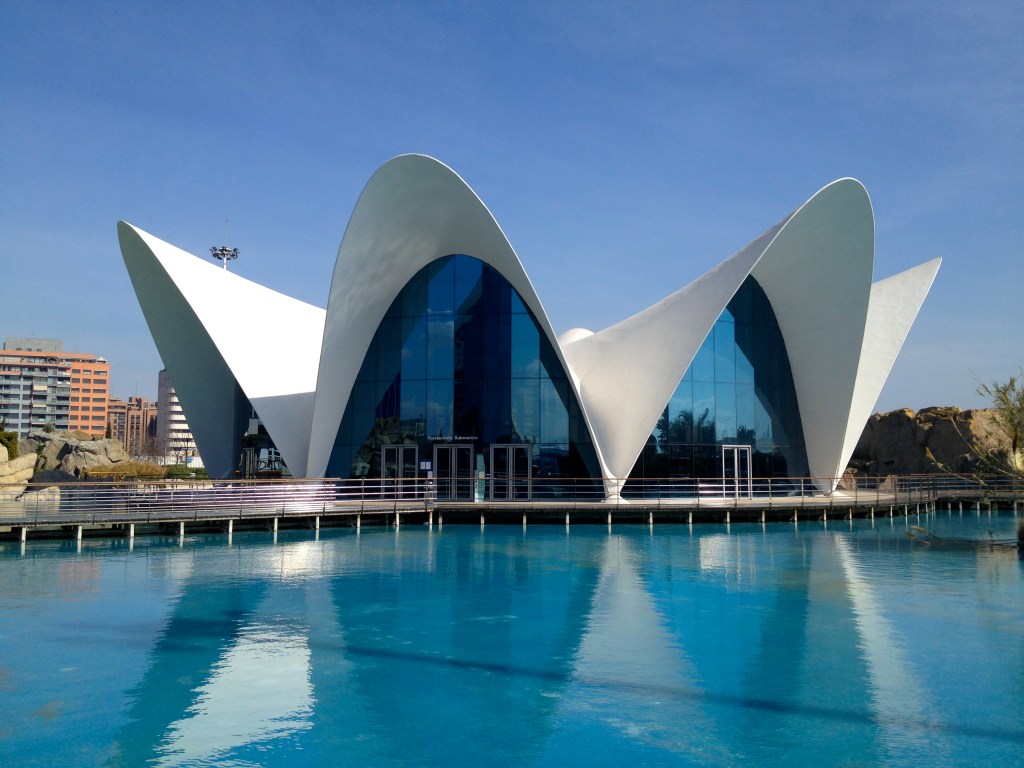 Waterlily bonnets in L'Oceanogràfic