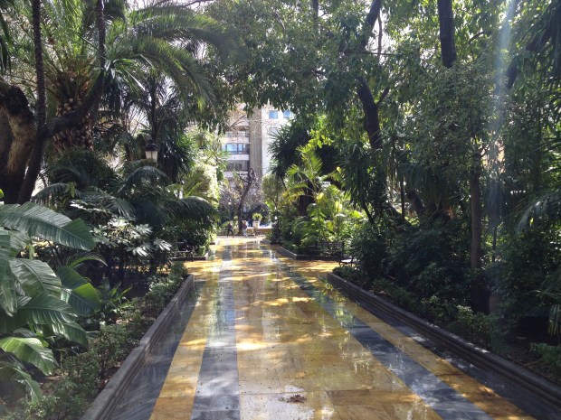 The Alameda park after a shower