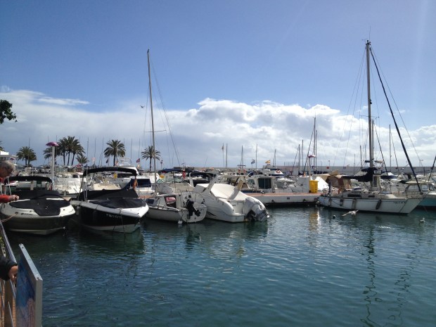 The Marina