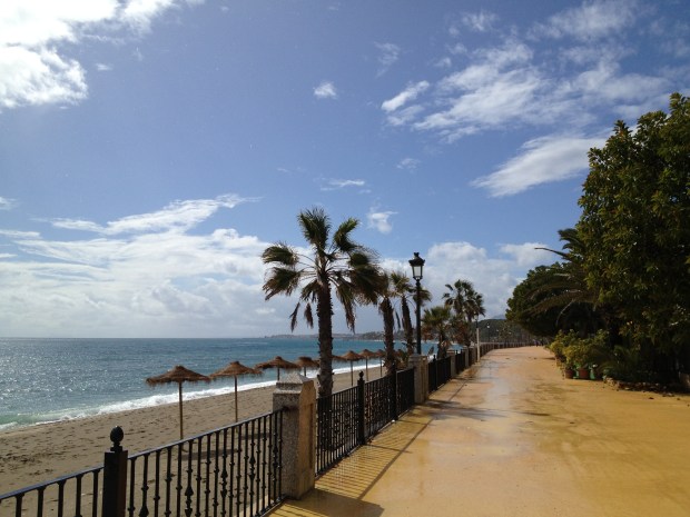 The Paseo after a recent rain shower