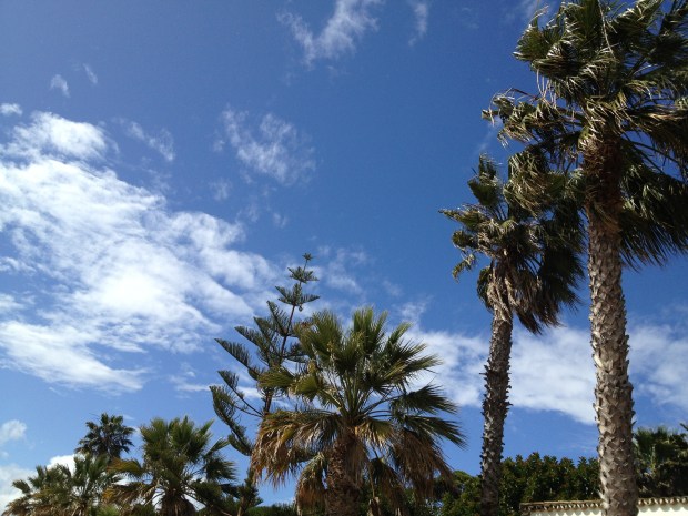 Blue skies (and a little wind)