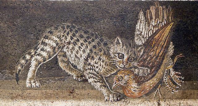 6572054559_b91ac9b238_z