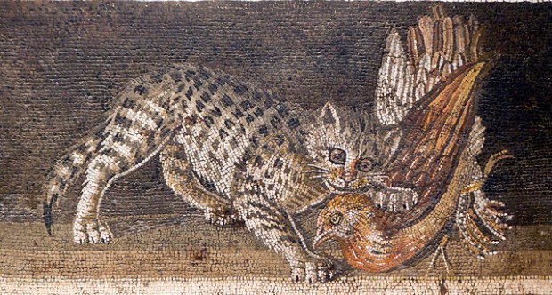 6572054559_b91ac9b238_z