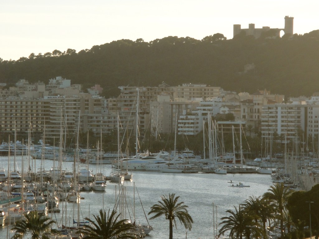 View over Palma's marina