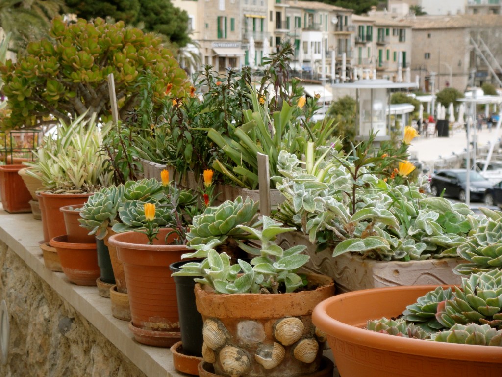 The port viewed from a plant-filled balcony