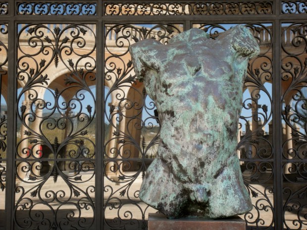Rodin torso