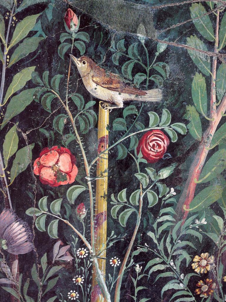 pompeii_garden