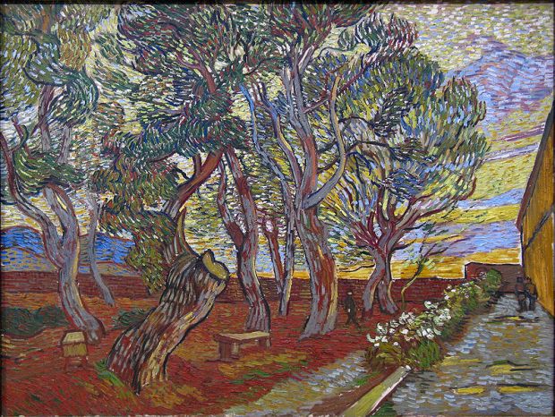 The gardens of Saint Paul hospital