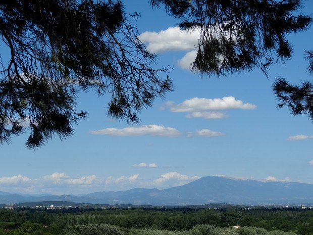 The Provençal promised land