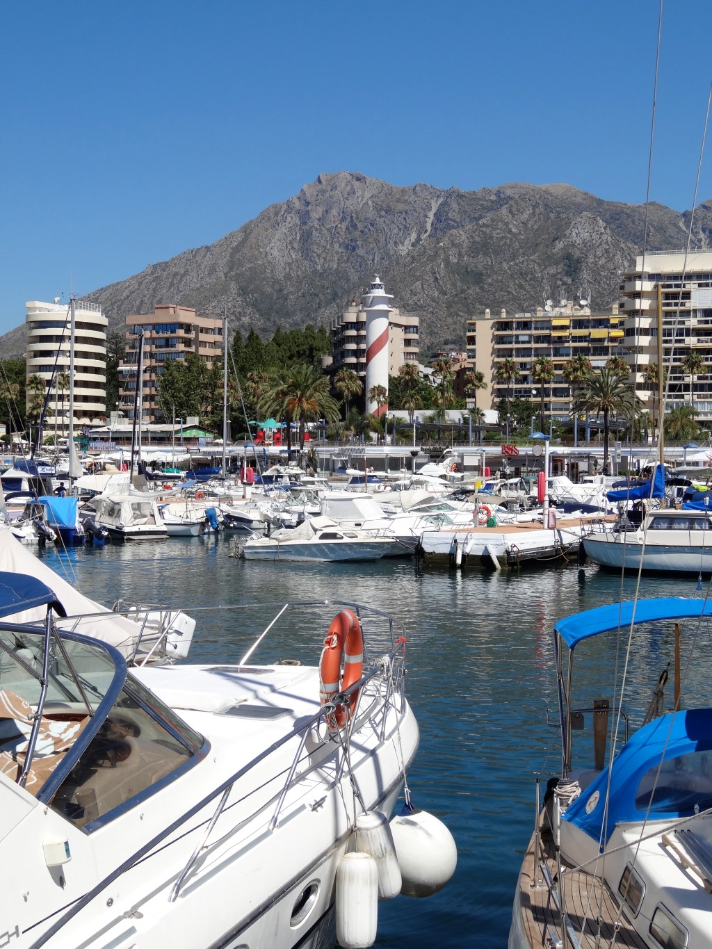 Marbella's port