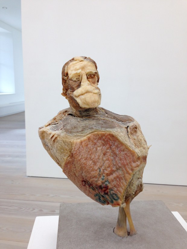 Carnalitos (Unamuno) © Kasper Kovitz, 2010