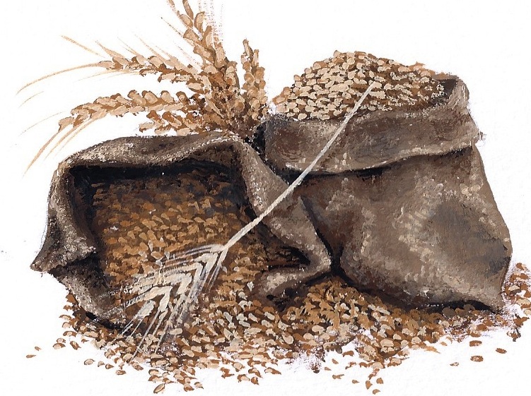 ルーマニア近代絵画 Theodor Pallady モノグラフ（M.Ispir著 Mallorca Sketchbook: Olives and Grain | The Daily Norm