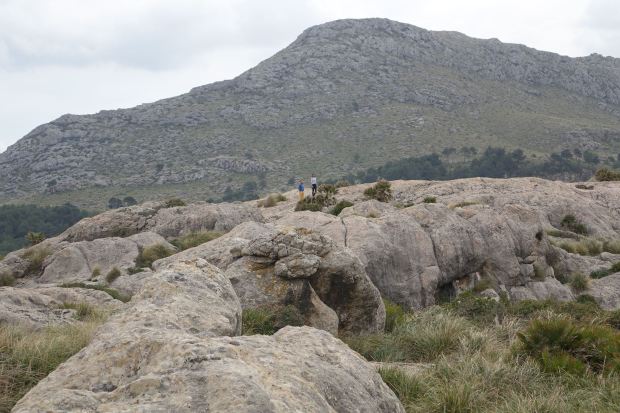 10515198_10155263113070494_1792555800118608681_o