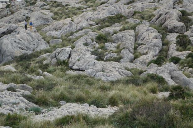 11046771_10155263112365494_4803236075385045796_o