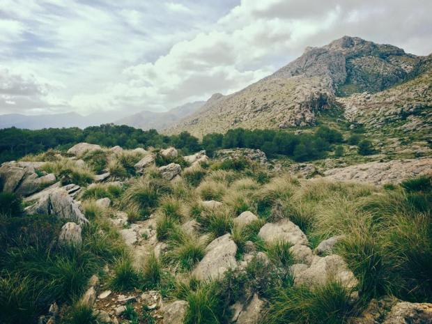 11058416_10152672388635846_75521940715541395_n