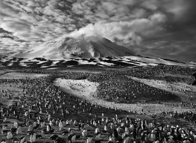 Sebastiao-Salgado_Genesis_09-7-10491