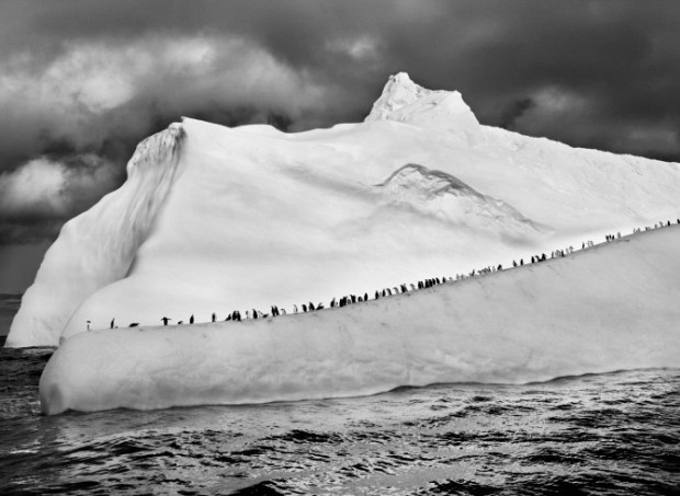 Sebastiao-Salgado_Genesis_09-7-12556