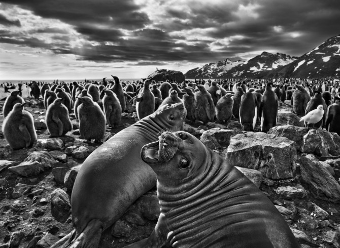 Sebastiao-Salgado_Genesis_09-7-19865