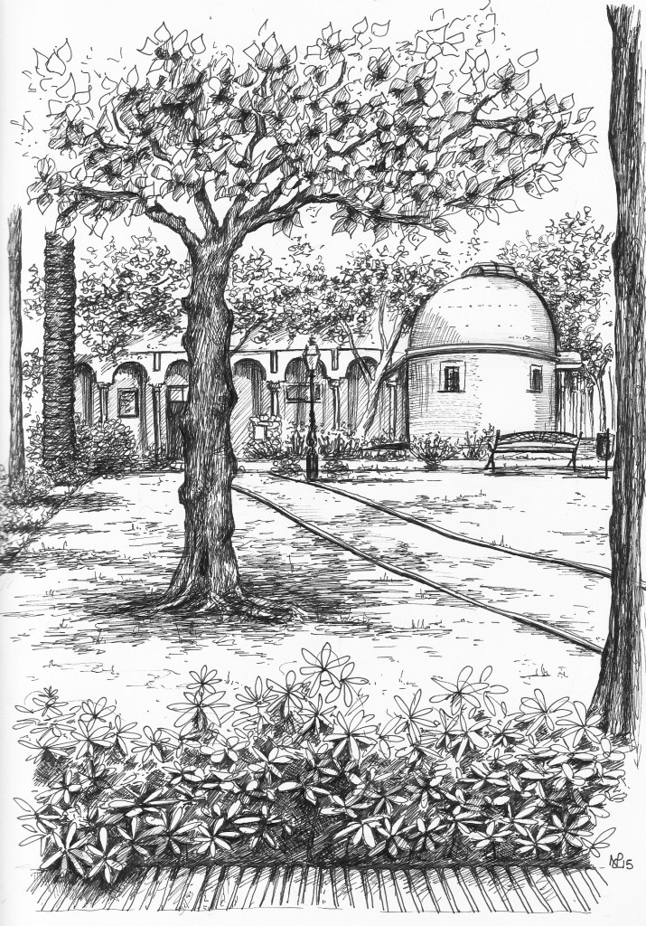 Parque de la Constitucion (2015 © Nicholas de Lacy-Brown, pen on paper)