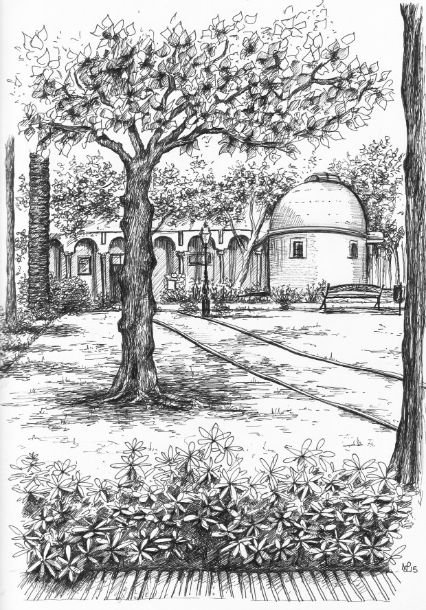 Parque de la Constitucion (2015 © Nicholas de Lacy-Brown, pen on paper)